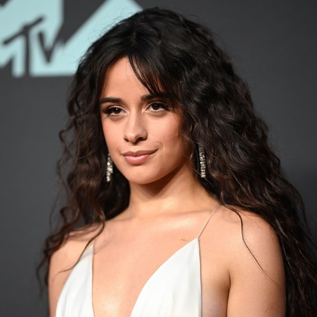 Camila Cabello Just Showed Everyone How To Nail Braids On Curly Hair