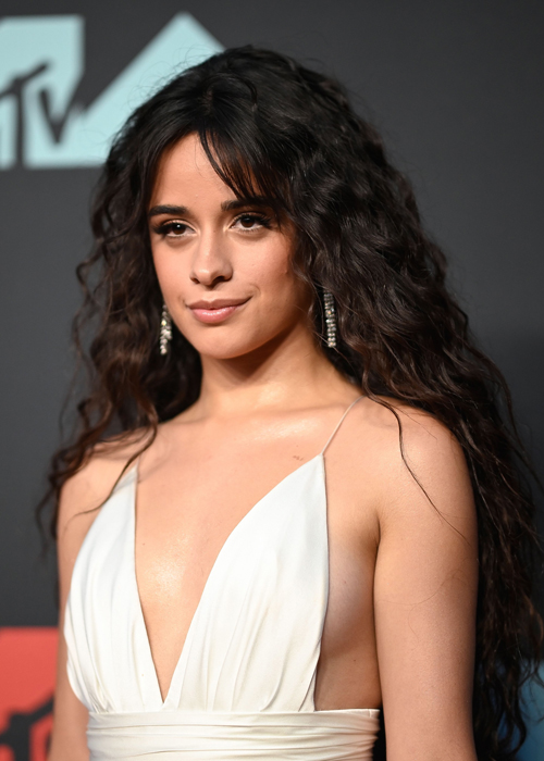 Camila Cabellos Natural Hair Waves At VMAs 2019 Hairstyle How To   Hollywood Life